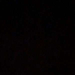 Meet your Posher, Lani